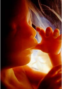 Szenzációs ultrahang képek a babáról