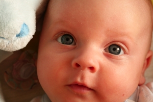 A baba szeme fénye